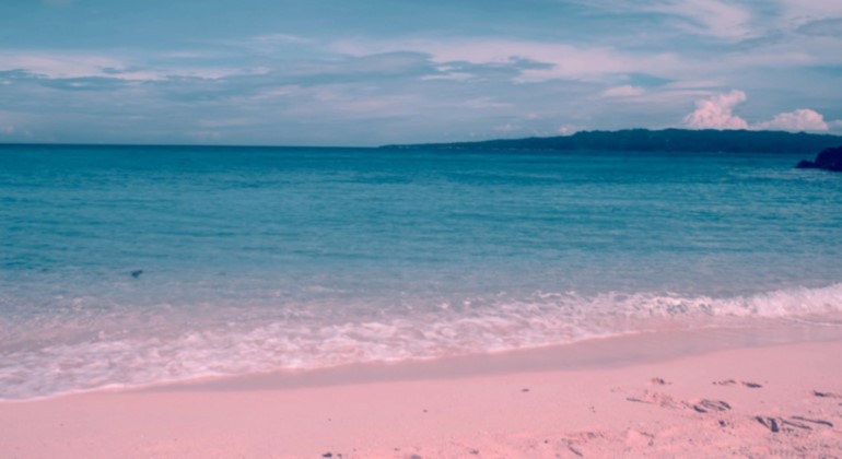 Pink sand beach